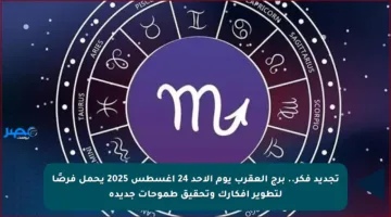 تجديد فكر.. برج العقرب يوم الأحد 24 أغسطس 2025 يحمل فرصًا لتطوير أفكارك وتحقيق طموحات جديدة
